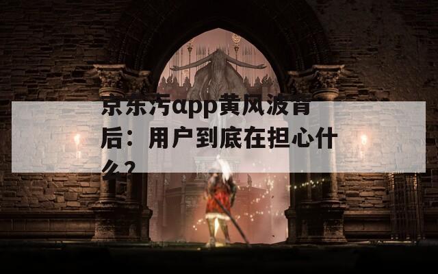 京东污αpp黄风波背后：用户到底在担心什么？